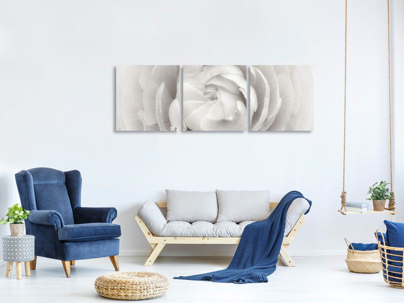 panoramic-3-piece-canvas-print-ranunculus