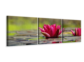 panoramic-3-piece-canvas-print-red-water-lily-duo