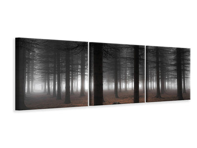 panoramic-3-piece-canvas-print-silence-ii