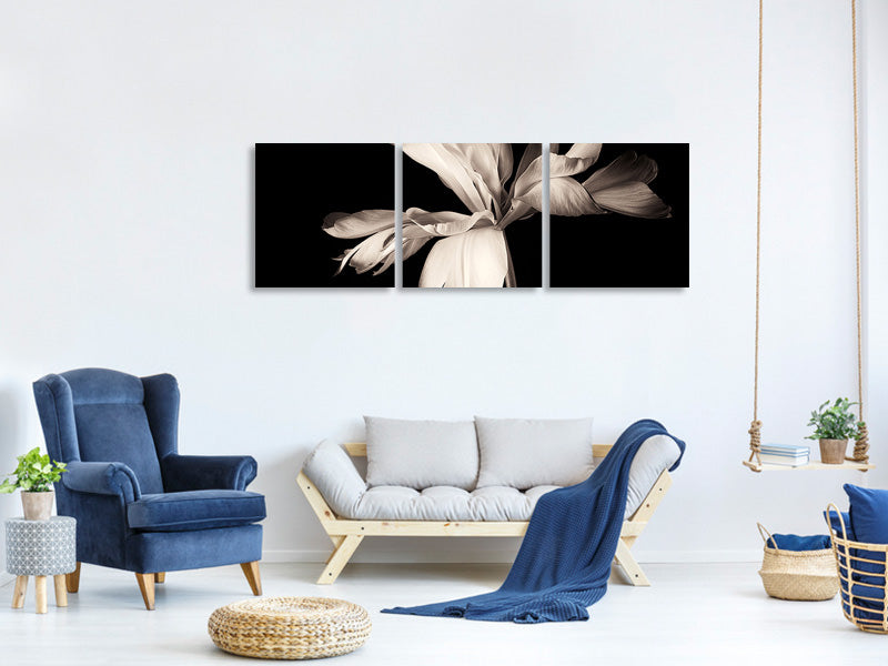 panoramic-3-piece-canvas-print-simplicity