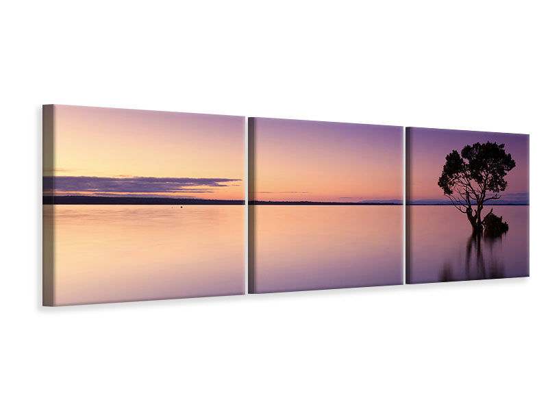 panoramic-3-piece-canvas-print-sunset-on-the-tree-in-the-water