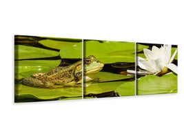 panoramic-3-piece-canvas-print-the-frog-and-the-water-lily