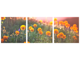 panoramic-3-piece-canvas-print-the-mountain-meadow