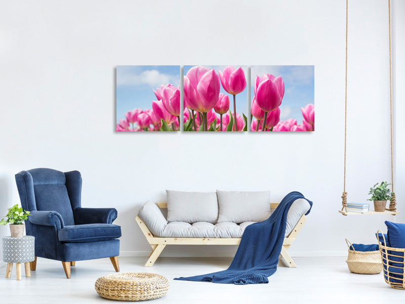 panoramic-3-piece-canvas-print-tulip-field-in-pink