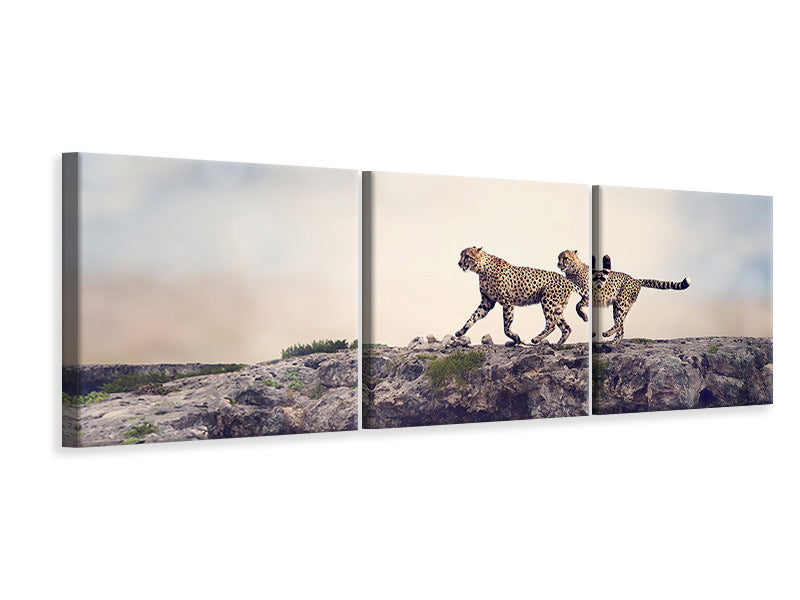 panoramic-3-piece-canvas-print-two-cheetahs