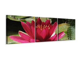 panoramic-3-piece-canvas-print-water-lily-in-red