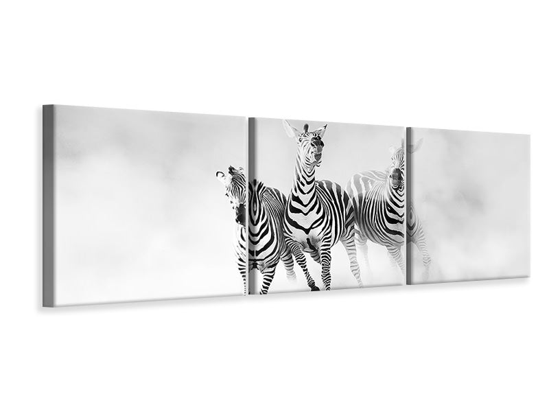 panoramic-3-piece-canvas-print-zebras