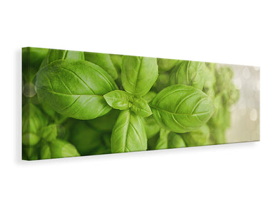 panoramic-canvas-print-a-bouquet-of-basil