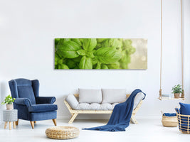 panoramic-canvas-print-a-bouquet-of-basil