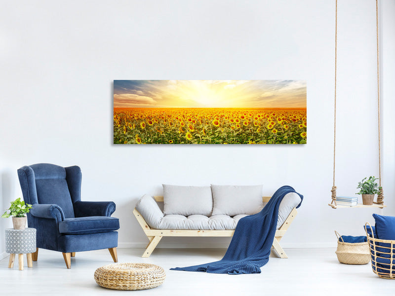 panoramic-canvas-print-a-field-full-of-sunflowers