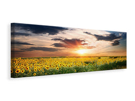 panoramic-canvas-print-a-field-of-sunflowers