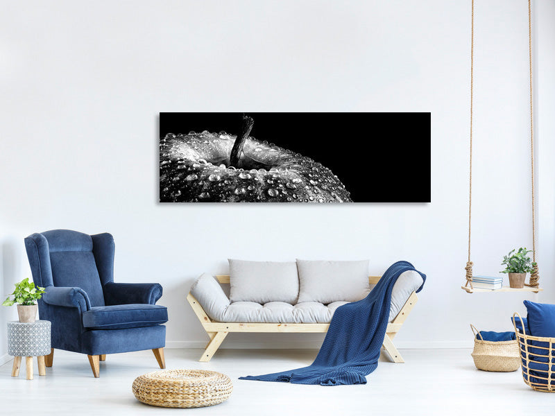 panoramic-canvas-print-appel