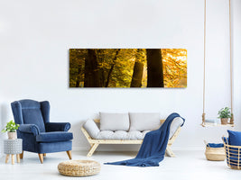 panoramic-canvas-print-autumn-leaves