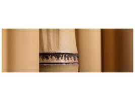 panoramic-canvas-print-bamboo-close-up