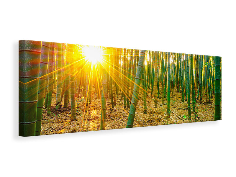 panoramic-canvas-print-bamboos