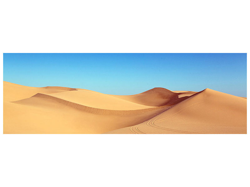 panoramic-canvas-print-beauty-desert