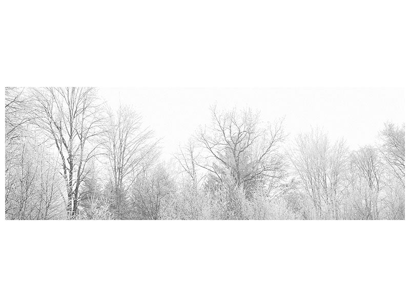 panoramic-canvas-print-birches-in-the-snow