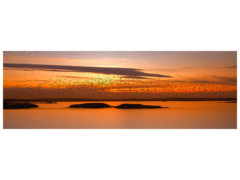 panoramic-canvas-print-by-sunset