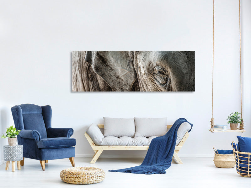 panoramic-canvas-print-close-up-elephant