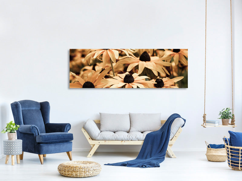 panoramic-canvas-print-daisies-in-sepia