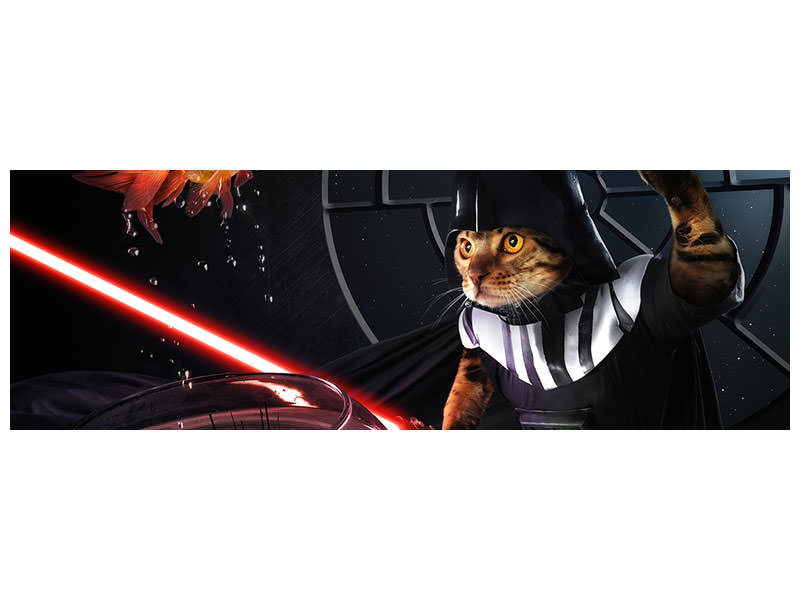 panoramic-canvas-print-darth-sushi