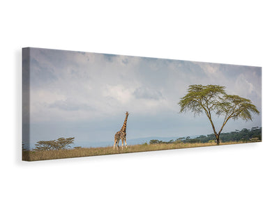 panoramic-canvas-print-east-africa