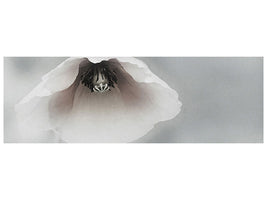 panoramic-canvas-print-ephemeral-beauty-ii