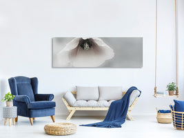 panoramic-canvas-print-ephemeral-beauty-ii