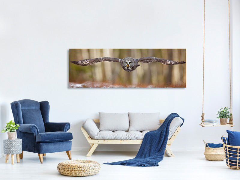 panoramic-canvas-print-great-grey-owl