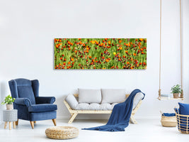 panoramic-canvas-print-hawkweeds