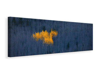 panoramic-canvas-print-heart-of-aspens