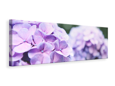 panoramic-canvas-print-hydrangeas