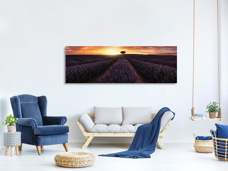 panoramic-canvas-print-lavender-sunset