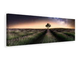 panoramic-canvas-print-lavender-way