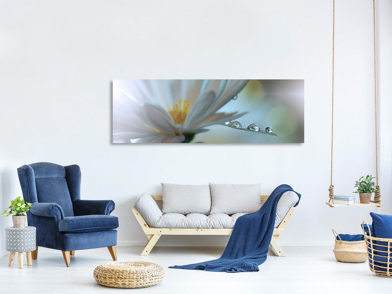 panoramic-canvas-print-light-touch