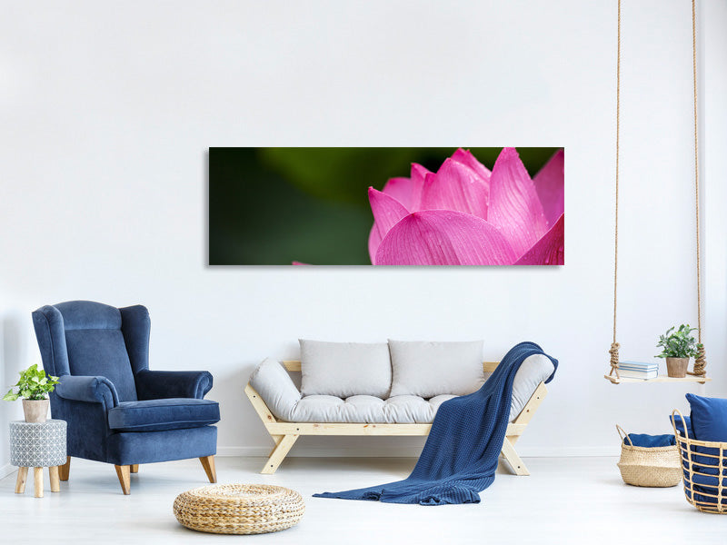 panoramic-canvas-print-marko-lotus-in-pink