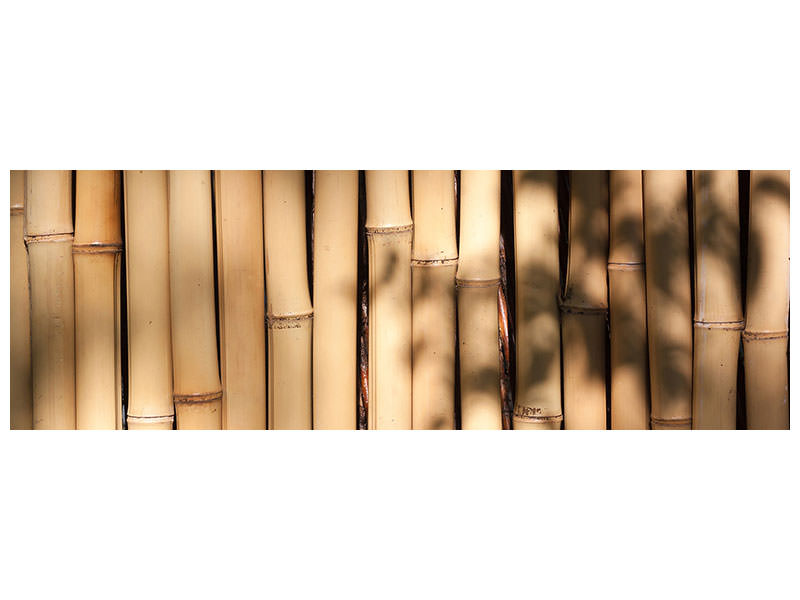 panoramic-canvas-print-natural-bamboo