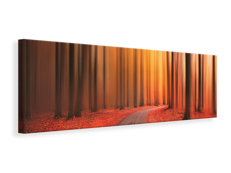 panoramic-canvas-print-path-to-unknown