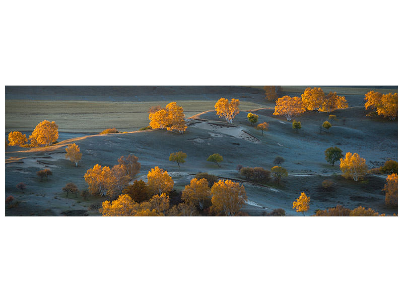 panoramic-canvas-print-prairie-light