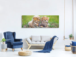 panoramic-canvas-print-promising