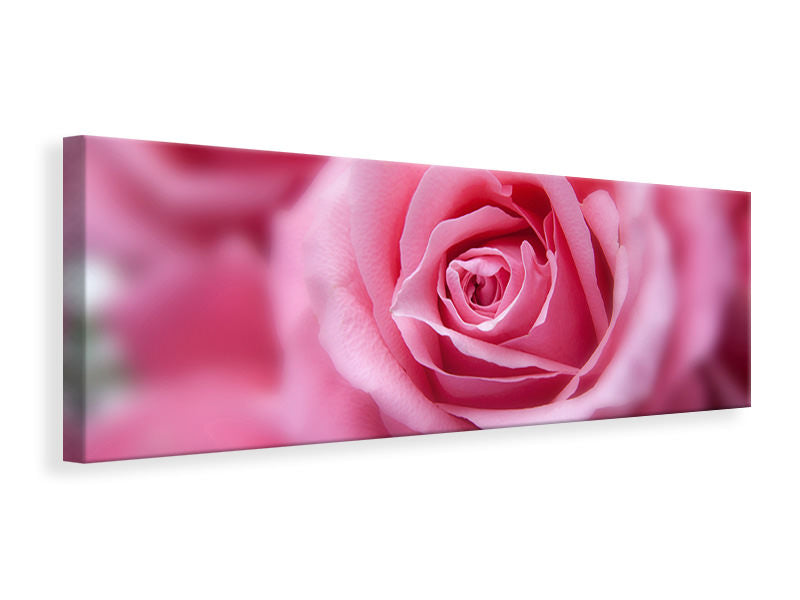 panoramic-canvas-print-roses-macro