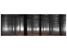 panoramic-canvas-print-silence-ii