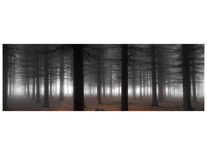 panoramic-canvas-print-silence-ii