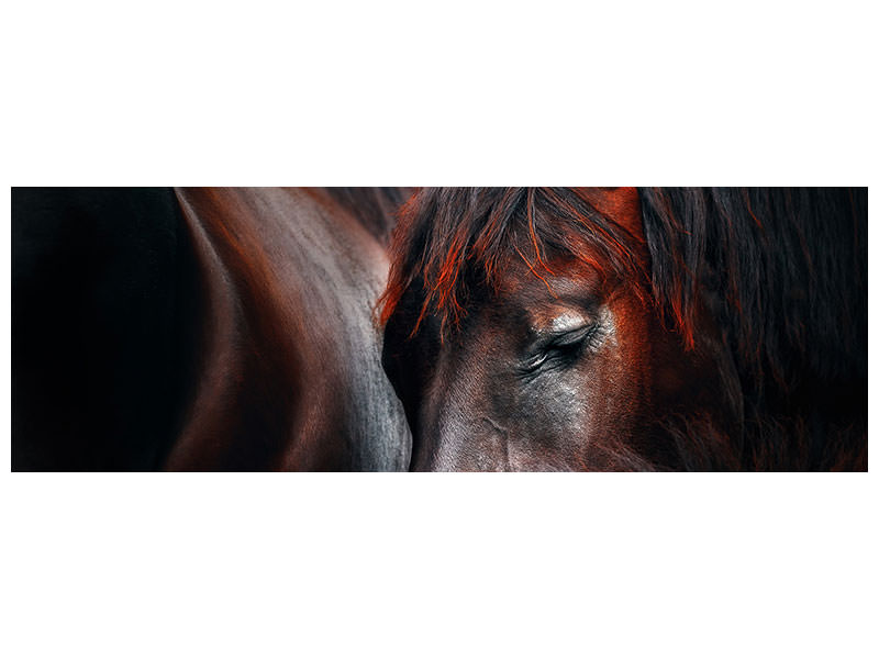 panoramic-canvas-print-sleep-huddle