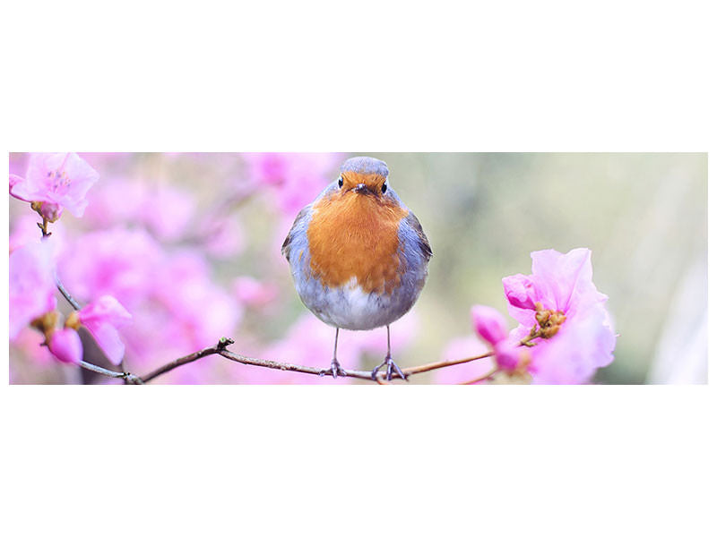 panoramic-canvas-print-spring-bird