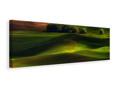 panoramic-canvas-print-spring-in-the-palouse