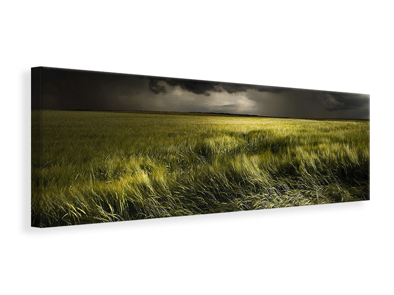 panoramic-canvas-print-summer-weather