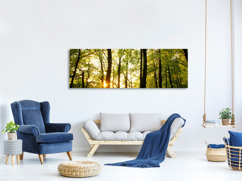 panoramic-canvas-print-sunset-between-trees