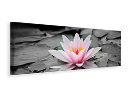 panoramic-canvas-print-the-art-of-water-lily