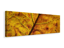 panoramic-canvas-print-the-autumn-leaf